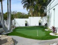 The Synthetic Grass Project image 1